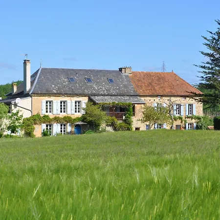 Lavende * Degagnac
